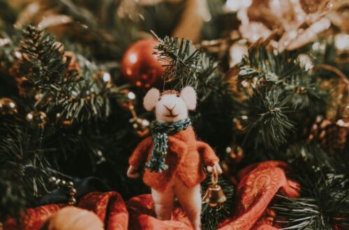 Foto af Annie Spratt-unsplash