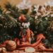 Foto af Annie Spratt-unsplash